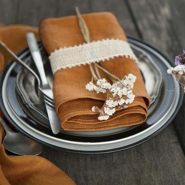 The Pure Linen Napkin Set, Terracotta